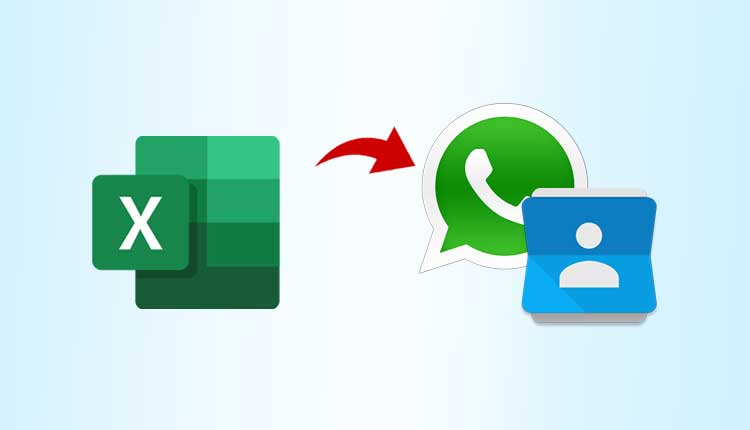 Import Excel Contacts to WhatsApp